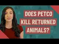 Does Petco kill returned animals