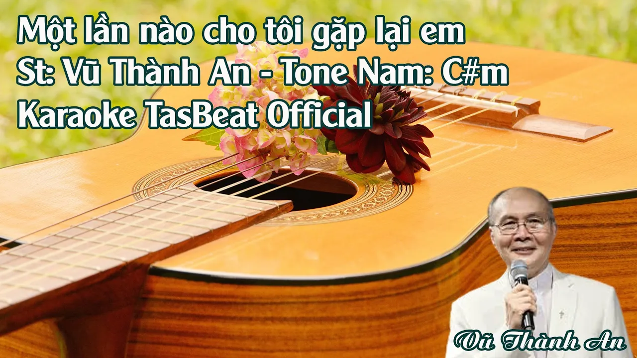 Karaoke Một Lần Nào Cho Tôi Gặp Lại Em - Tone Nam | TAS BEAT