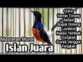 Download Lagu MURAI BATU GACOR FULL ISIAN TEMBAKAN CILILIN KAPAS TEMBAK KENARI C JENGGOT CUNGKOK LOVEBIRD GEREJA