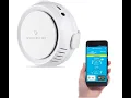 Wasserstein Smart Temperature Humidity and Water Sensor Unboxing and 1st Impressions