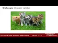 Lecture 2 Image Classification