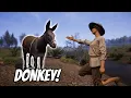 Is the Donkey Worth It Getting Our First Mount