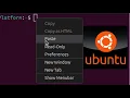 How to Enable Copy and Paste in Linux Virtual Machines Step-by-Step Guide