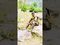 Download Lagu #foujistatus #army #foji #armysoldiers #soldiers  #viralvideo #armylover