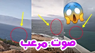 الحوت الأزرق الذي أرعب العالم بصوته أخيرا يظهر لن تصدقوا حجمه دندنها