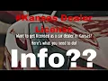 Obtaining Kansas Dealer License Pt 2 Finale Tune In 11-24-2020
