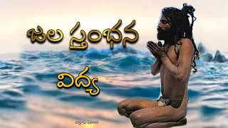 himalayan yogis and practitioners practice 