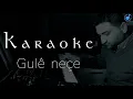 Download Lagu Gulê Neçe Karaoke _ Diyar Dersim