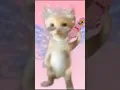 Download Lagu ayayay I'ma little butterfly