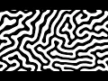 Reaction Diffusion Screensaver 2 4K 1 Hour