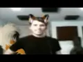 Furry Discussion - Jerma Elden Ring Part 11 Stream Edit