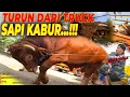 Download Lagu \