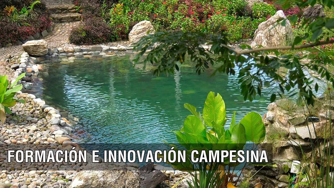 Formación e innovación campesina - TvAgro por Juan Gonzalo Angel Restrepo