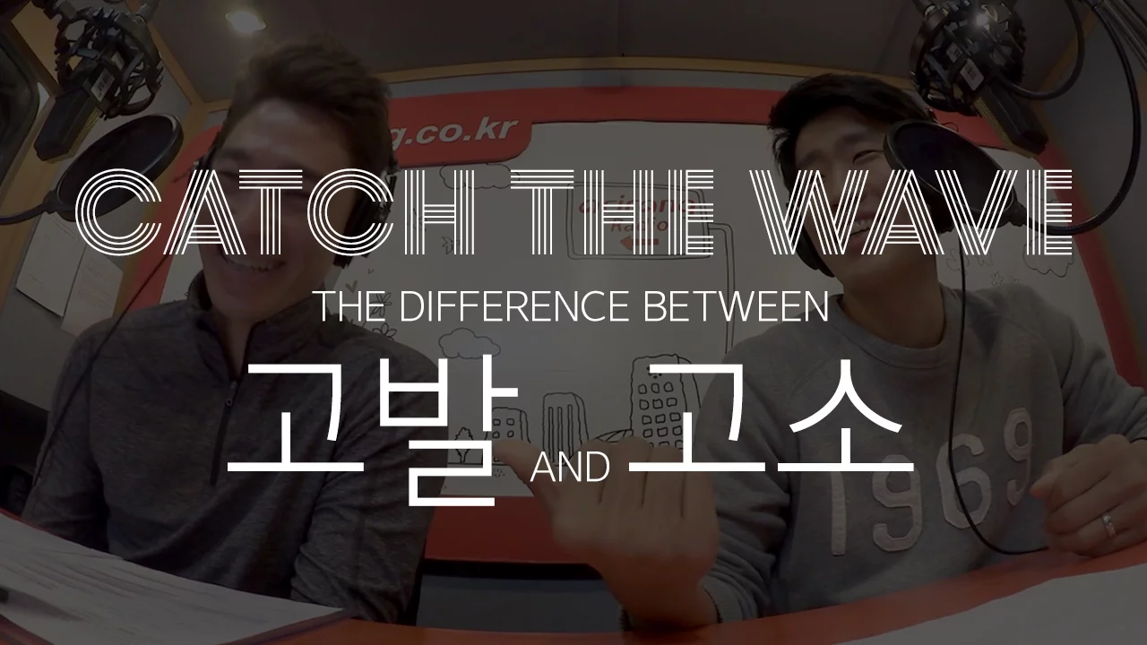 Catch The Wave - 고발 vs. 고소 (Korean words comparison)