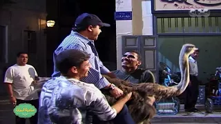 صاحبة السعادة شاهد كواليس حصرية لمشهد النعامة الشهير بفيلم صاحب صاحبه 