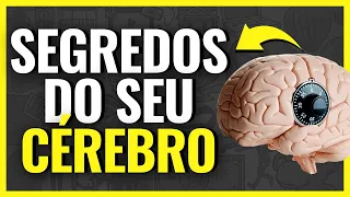 Os 6 Princípios de Neurociência Que Podem Mudar a Sua Vida