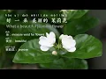 Lagu Jasmine Flower (茉莉花) Learn Chinese through Song with Lyrics
