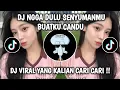 Lagu DJ NGGA DULU | SENYUMANMU BUATKU CANDU VIRAL TIKTOK TERBARU 2025 YANG KALIAN CARI !!