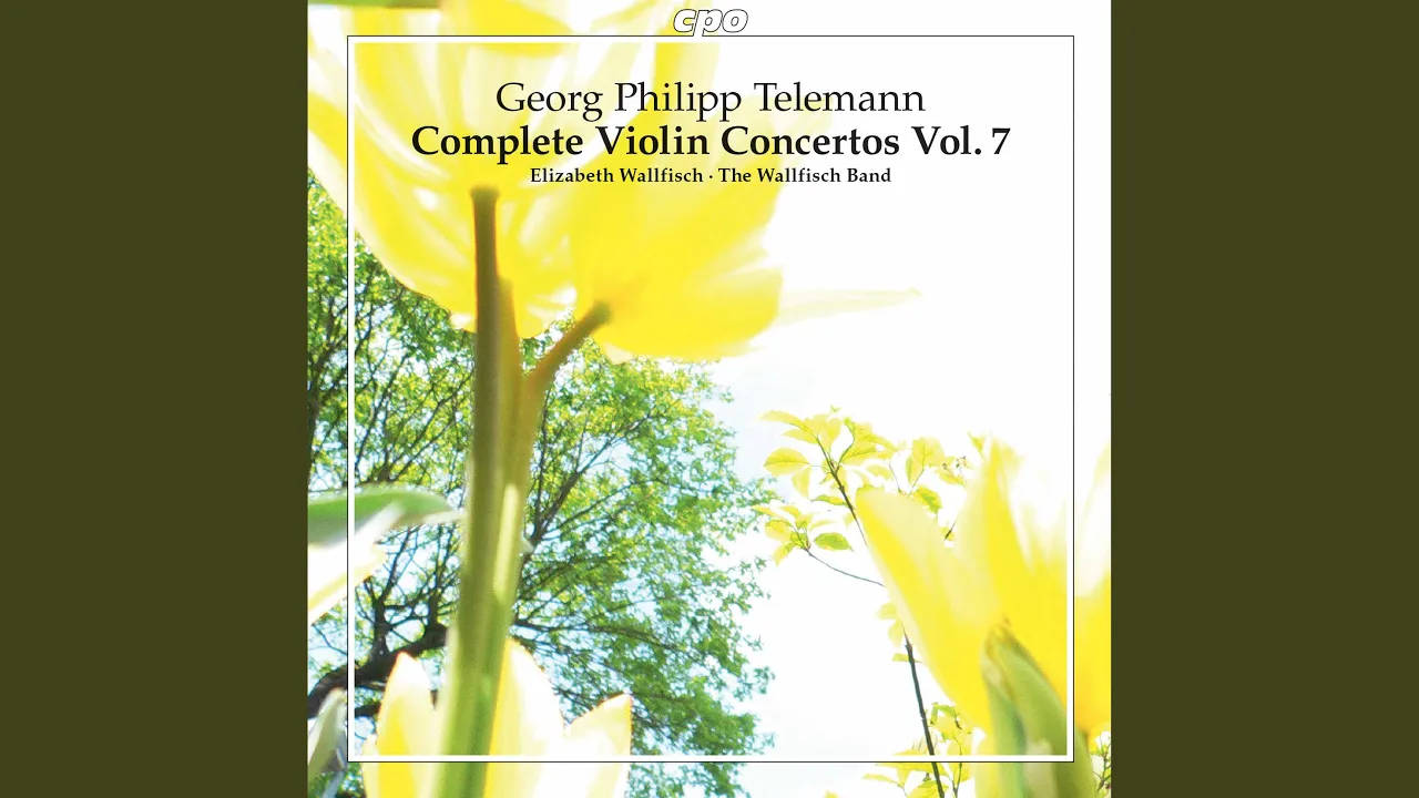 Violin Concerto in G Major, TWV 51:G4: I. Vivace