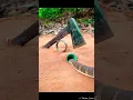 Download Lagu DIY: Snake getting traped 💔😭