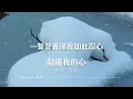『華語經典』南方二重唱-敲痛我的心#華語音樂 #經典歌曲 #經典老歌 #動態歌詞