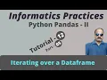 Informatics Practices Class - XII Iterating over a Dataframe