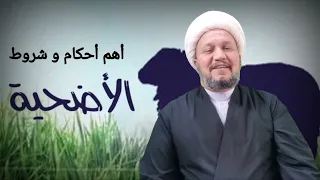 أهم أحكام و شروط الأضحية دندنها