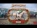 Fulleffort Kentucky Derby 2026 Profile Odds Analysis Winning Chances