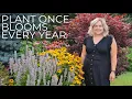 My 5 Must-Have Perennials Perfect for Any Garden