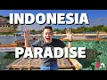 Download Lagu Tanjung Bira Uw droombestemming van zonsopgang tot zonsondergang