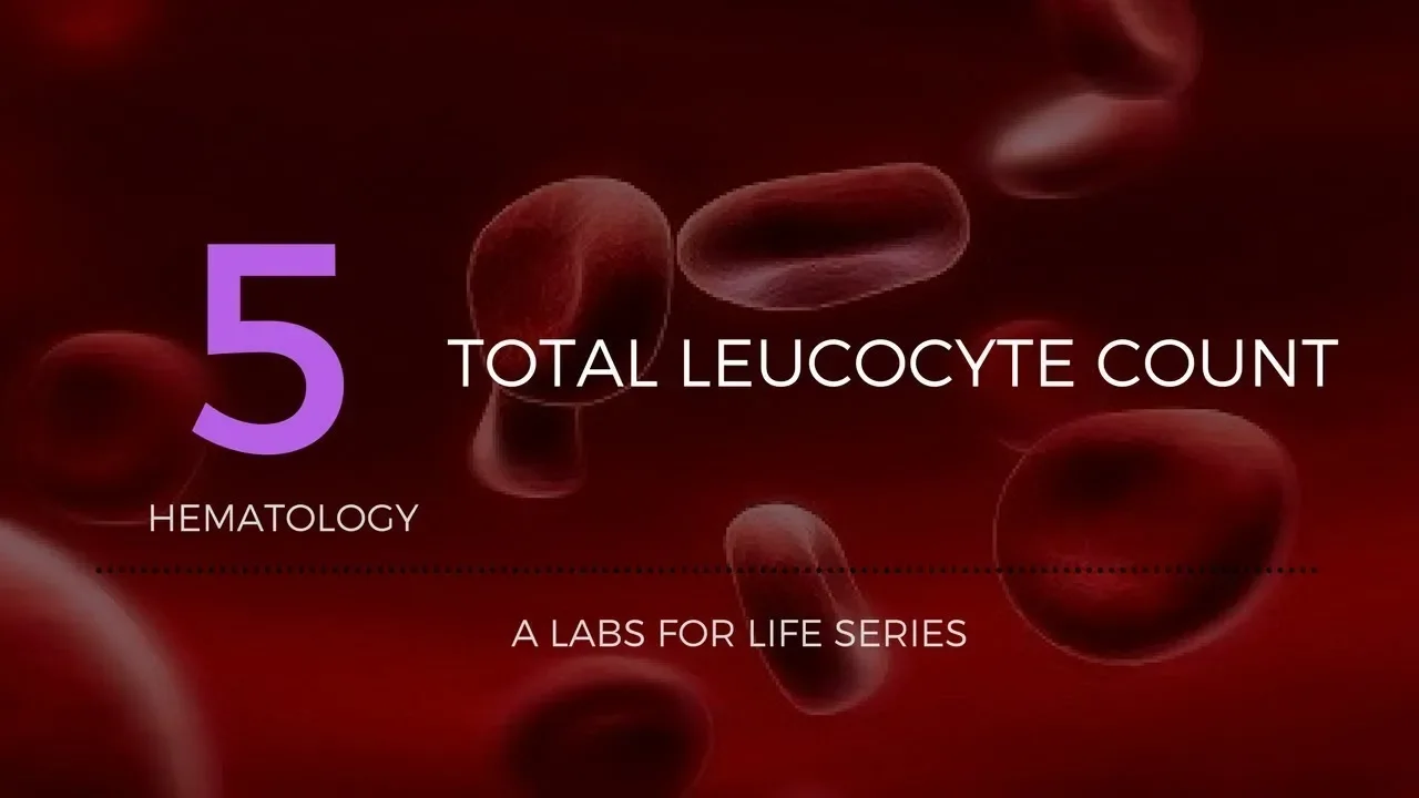 Total Leucocyte Count