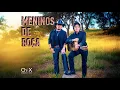Lagu Chitãozinho \u0026 Xororó‬ - Meninos De Roça