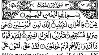 Surah Yaseen Live 🕌💚| quran tilawat | surah rahman | Episode 770 | daily quran tilawat | surah yasin