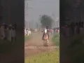 Download Lagu 143 million+views 😳#SUBSCRIBE #horseracing #horseriding #marwarihorse #trending #explorepage