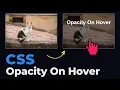 Beautiful CSS Opacity Effect On Hover CSS Overlay Text On Image