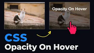 Beautiful CSS Opacity Effect On Hover CSS Overlay Text On Image
