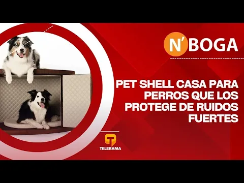 Pet Shell casa para perros que los protege de ruidos fuertes