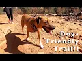 BEST Dog-Friendly Trail in Sedona