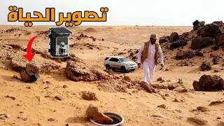 من يعيش هنا تصوير الحياة الفطرية