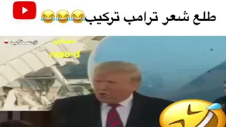 طلع شعر ترامب تركيب 