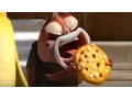 Download Lagu LARVA | LARVA FUNNY EPISODES COMPILATION | Videos For Kids | LARVA Full Episodes