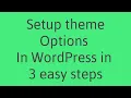 Add theme options to WordPress site in 3 Very Easy Steps