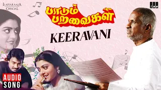 keeravani song paadum paravaigal movie ilaiyaraaja karthik bhanupriya spb s janaki