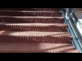 Chestnut Hill MA Thyssenkrupp Man Powered Elevator Showcase Super Lux The Street