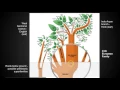 Chapter 5 Key Issue 1 - Language
