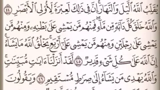 الصفحة رقم     الشيخ فارس عباد دندنها