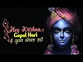 Download Lagu HEY KRISHNA GOPAL HARI - हे कृष्ण गोपाल हरी - कृष्ण भजन | VERY BEAUTIFUL SONG - BEST KRISHNA BHAJAN
