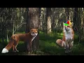 What is Doxxing - A PSA from TCTV