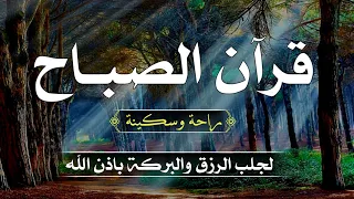 سورة البقرة كاملة لتحصين المنزل وجلب البركة والرزق باذن الله Surah Al Baqara بصوت يريح الاعصاب 