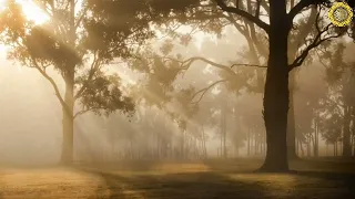 الشيخ الشحات محمد انور سورة النمل تلاوة نادرة 